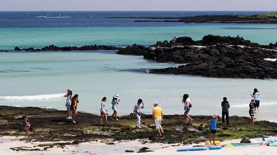 济州岛因过度旅游引发担忧，发布多语言游客行为指南