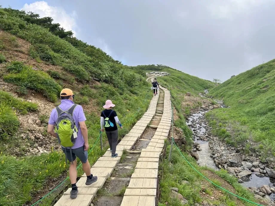 日本避暑游热潮：气候变化如何重塑夏季旅游
