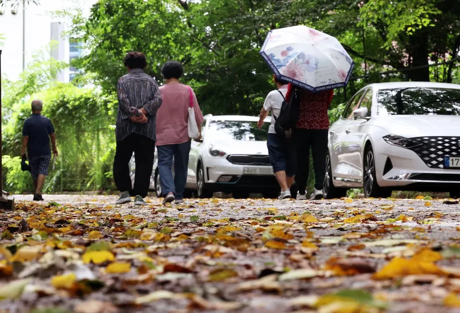 韩国秋季拉尼娜警报升温：前期多雨，可能提前遭遇寒潮