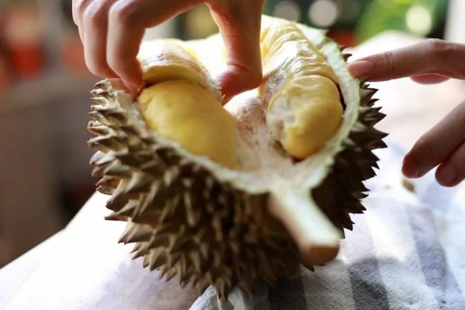 从荔枝驿运到现代榴莲快线：中国加速满足日益增长的消费需求