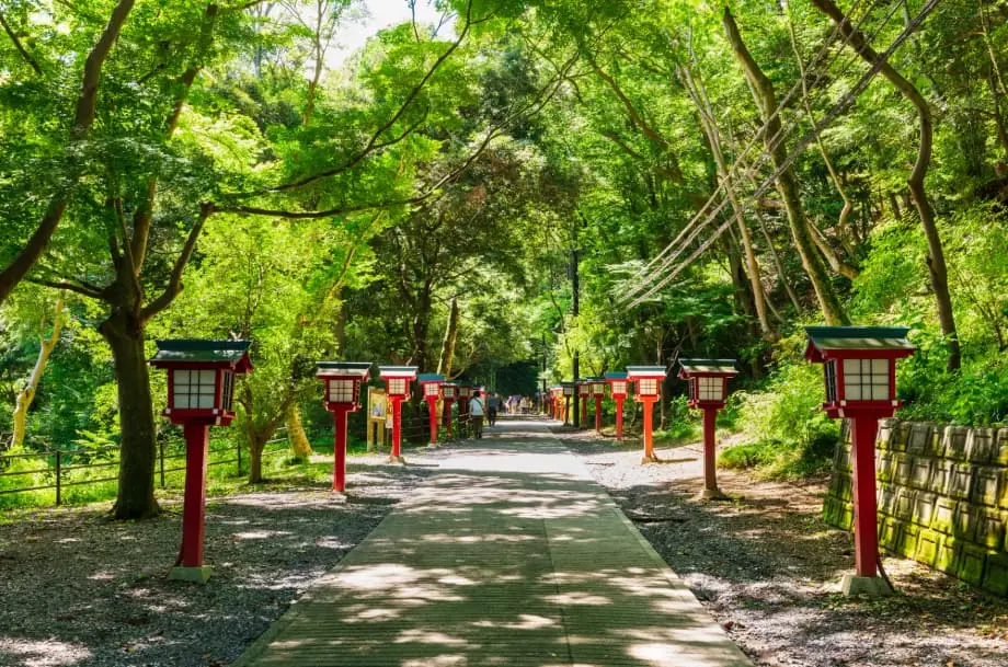Your Guide to Mt. Takao’s Seasonal Events: Nature, History, and Culture ...