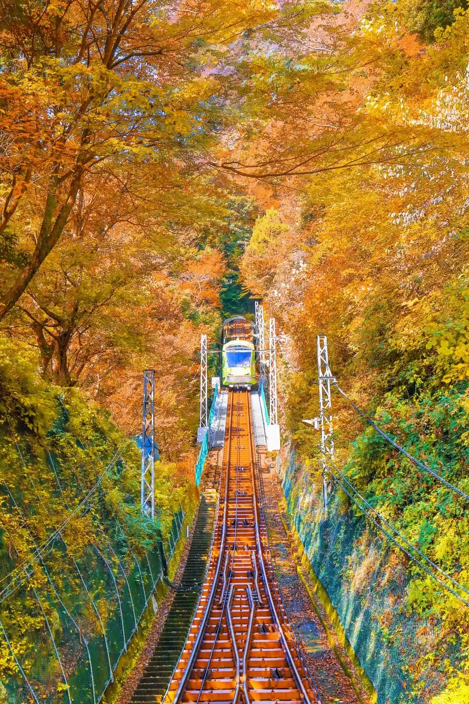秋日日本铁路之旅：赏枫最佳列车路线