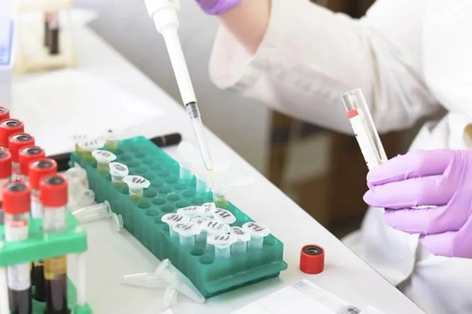 中国在人工智能、量子技术和生物技术领域的科研领导力日益逼近美国
