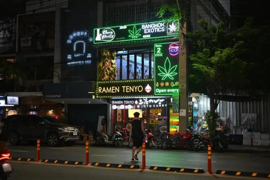泰国大麻实验：从经济希望到社会忧虑