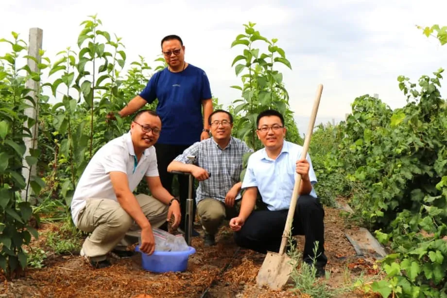 中国在戈壁沙漠培育军用级橡胶，保障战略供应链安全