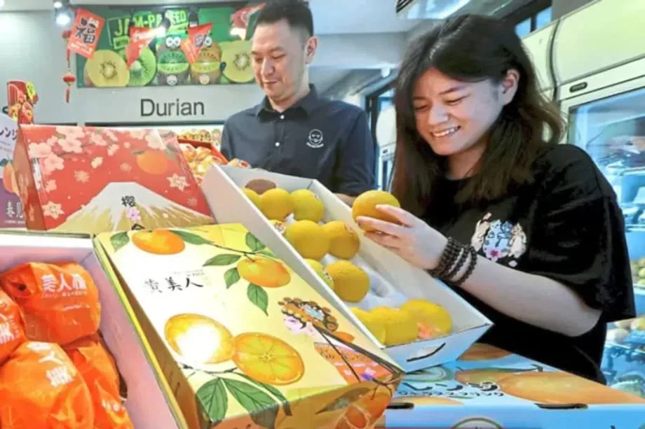 黄美人柑橘风靡马来西亚市场，成为春节高端送礼新宠