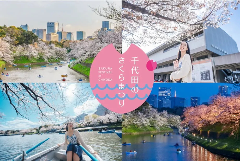 2026年千代田樱花节将东京皇居周边变为持续一个多月的春日庆典