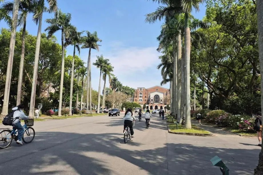 越南超过马来西亚，成为台湾最大留学生来源地，区域格局持续变化