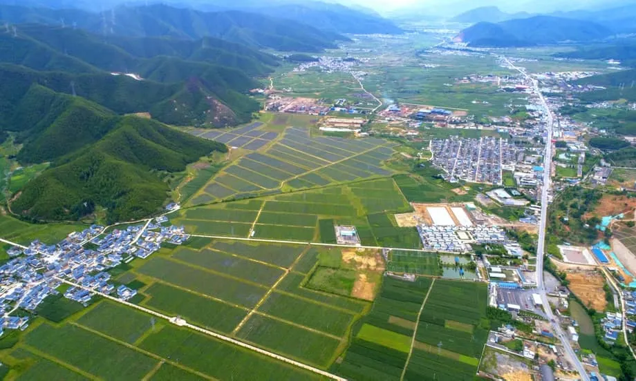 中国蓝莓产业崛起：云南如何将奢侈进口品转变为全球出口强项