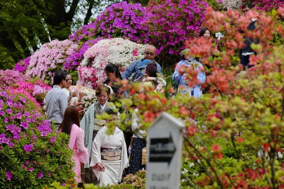 全球掀起社交媒体禁令浪潮之际，日本探索年龄核验折中之道